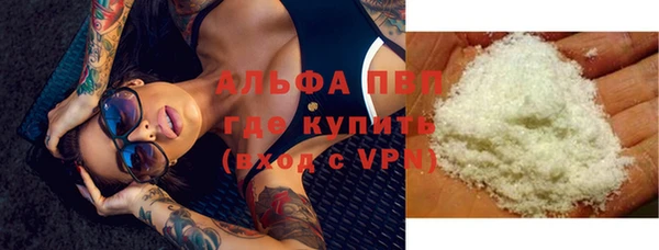 гидра Богданович
