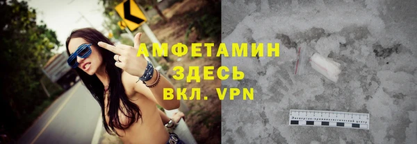 гидра Богданович