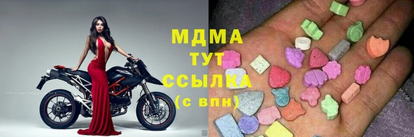 гидра Богданович