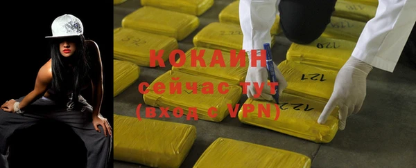 гидра Богданович