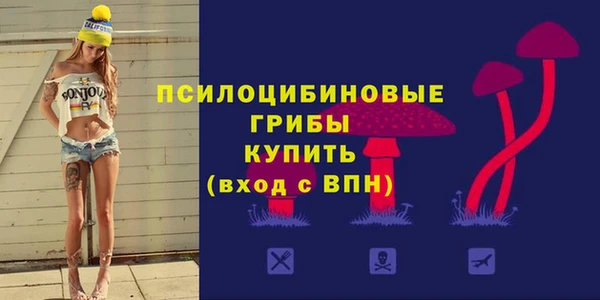 амфетамин Богородск