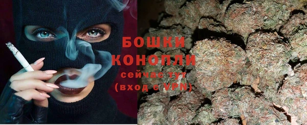 МДПВ Богородицк