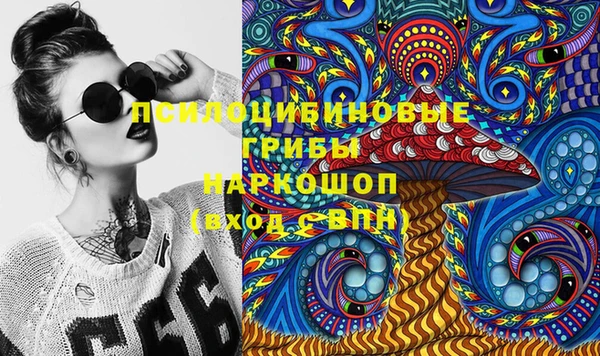 гидра Богданович