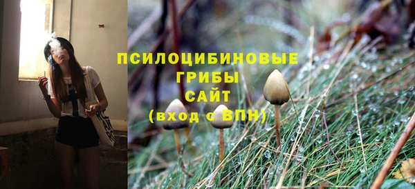 МДПВ Богородицк