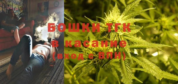 гидра Богданович