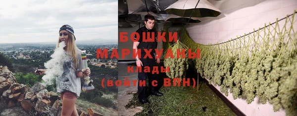 МДПВ Богородицк
