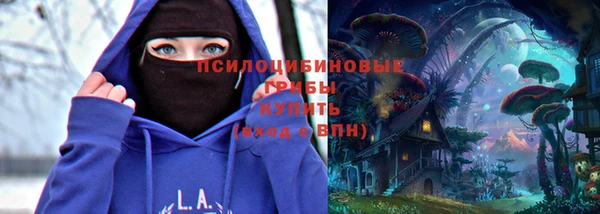 гидра Богданович