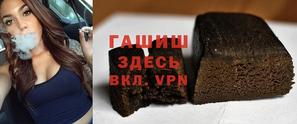 гидра Богданович