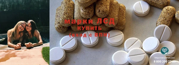 гидра Богданович