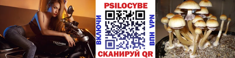 Псилоцибиновые грибы ЛСД  купить закладку  Вятские Поляны 